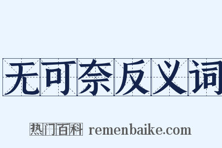 无可奈反义词是什么意思的图片